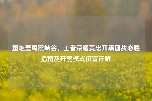 重炮轰鸣震峡谷,王者荣耀黄忠开黑团战必胜指南及开黑模式位置详解