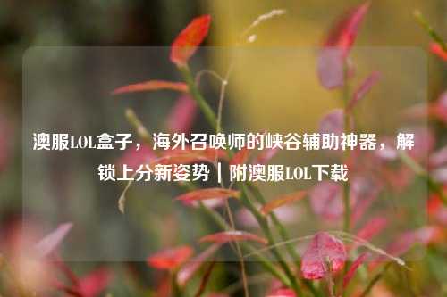 澳服LOL盒子,海外召唤师的峡谷辅助神器,解锁上分新姿势|附澳服LOL下载