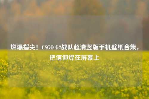 燃爆指尖!CSGO G2战队超清竖版手机壁纸合集,把信仰焊在屏幕上
