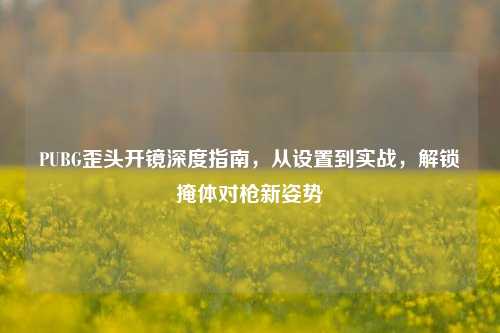 PUBG歪头开镜深度指南，从设置到实战，解锁掩体对枪新姿势