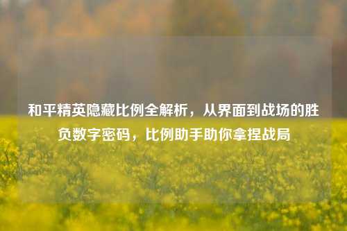 和平精英隐藏比例全解析,从界面到战场的胜负数字密码,比例助手助你拿捏战局