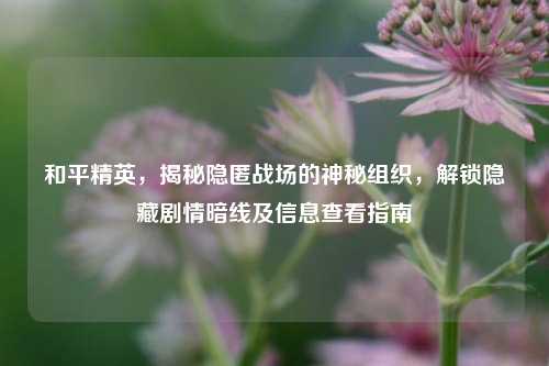 和平精英,揭秘隐匿战场的神秘组织,解锁隐藏剧情暗线及信息查看指南