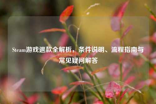 Steam游戏退款全解析,条件说明、流程指南与常见疑问解答
