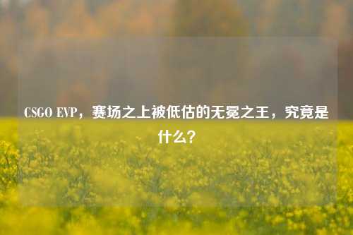 CSGO EVP,赛场之上被低估的无冕之王,究竟是什么?