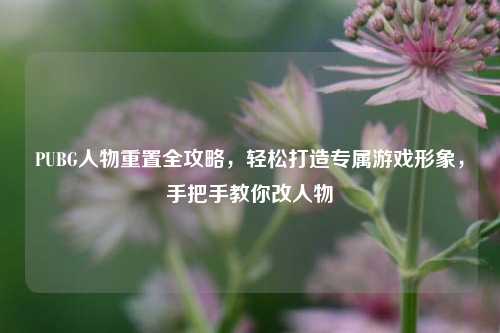 PUBG人物重置全攻略，轻松打造专属游戏形象，手把手教你改人物