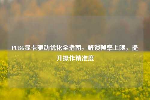 PUBG显卡驱动优化全指南，解锁帧率上限，提升操作精准度