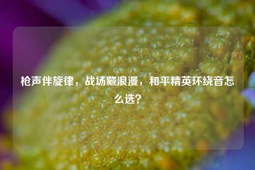 枪声伴旋律，战场藏浪漫，和平精英环绕音怎么选？