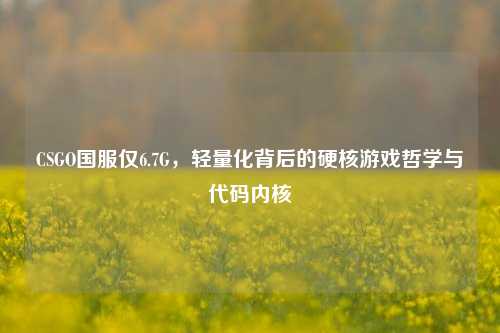 CSGO国服仅6.7G，轻量化背后的硬核游戏哲学与代码内核