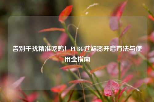 告别干扰精准吃鸡!PUBG过滤器开启方法与使用全指南
