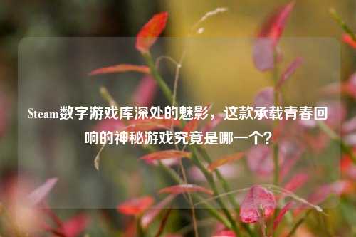 Steam数字游戏库深处的魅影，这款承载青春回响的神秘游戏究竟是哪一个？