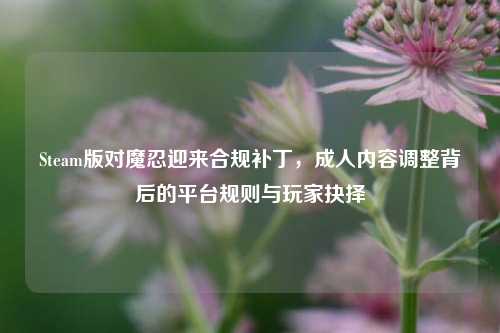 Steam版对魔忍迎来合规补丁,成人内容调整背后的平台规则与玩家抉择