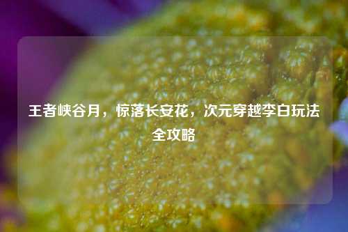 王者峡谷月,惊落长安花,次元穿越李白玩法全攻略