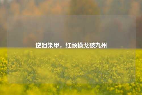 逆泪染甲,红颜横戈破九州