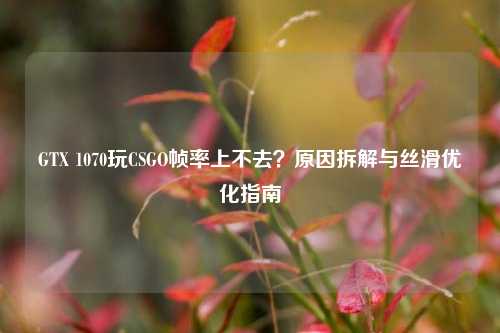 GTX 1070玩CSGO帧率上不去？原因拆解与丝滑优化指南