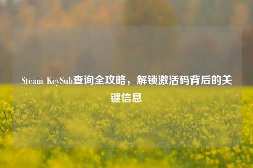 Steam KeySub查询全攻略，解锁激活码背后的关键信息