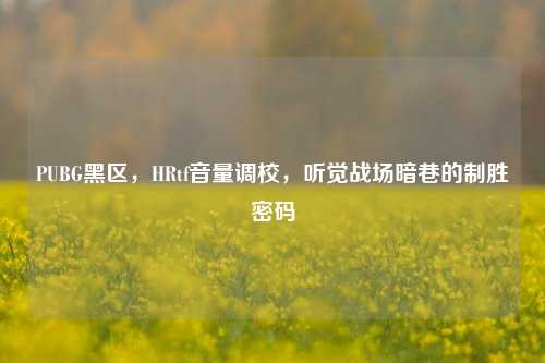 PUBG黑区，HRtf音量调校，听觉战场暗巷的制胜密码