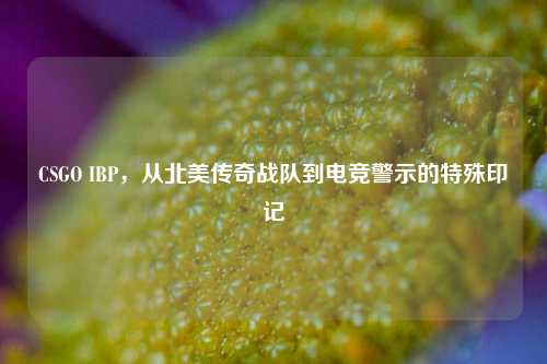 CSGO IBP，从北美传奇战队到电竞警示的特殊印记