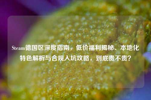 Steam德国区深度指南，低价福利揭秘、本地化特色解析与合规入坑攻略，到底贵不贵？