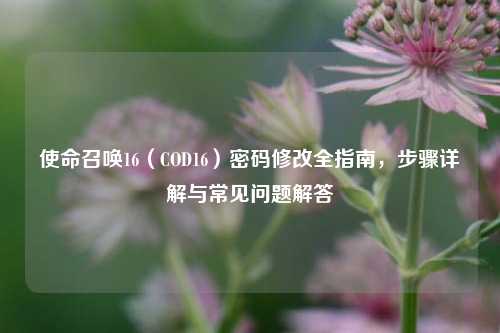 使命召唤16(COD16)密码修改全指南,步骤详解与常见问题解答