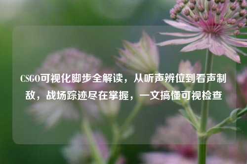 CSGO可视化脚步全解读，从听声辨位到看声制敌，战场踪迹尽在掌握，一文搞懂可视检查