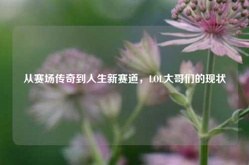 从赛场传奇到人生新赛道，LOL大哥们的现状