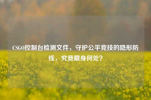 CSGO控制台检测文件，守护公平竞技的隐形防线，究竟藏身何处？