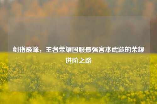 剑指巅峰，王者荣耀国服最强宫本武藏的荣耀进阶之路
