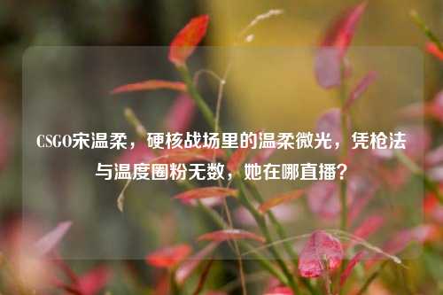 CSGO宋温柔，硬核战场里的温柔微光，凭枪法与温度圈粉无数，她在哪直播？