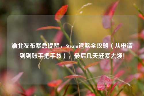 渝北发布紧急提醒，Steam退款全攻略（从申请到到账手把手教），最后几天赶紧去领！