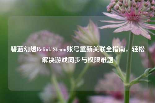 碧蓝幻想Relink Steam账号重新关联全指南,轻松解决游戏同步与权限难题