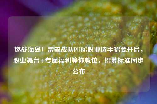 燃战海岛!雷霆战队PUBG职业选手招募开启,职业舞台+专属福利等你就位,招募标准同步公布