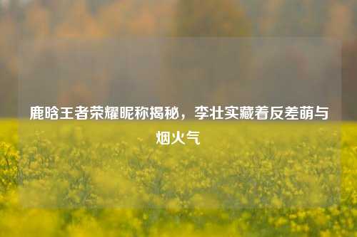 鹿晗王者荣耀昵称揭秘,李壮实藏着反差萌与烟火气