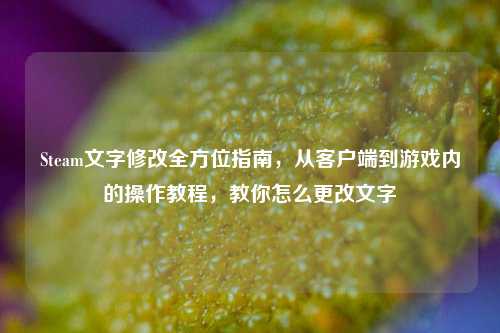 Steam文字修改全方位指南,从客户端到游戏内的操作教程,教你怎么更改文字