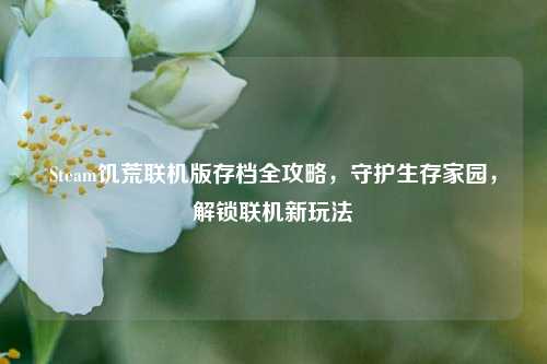 Steam饥荒联机版存档全攻略,守护生存家园,解锁联机新玩法