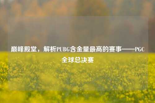 巅峰殿堂,解析PUBG含金量最高的赛事——PGC全球总决赛