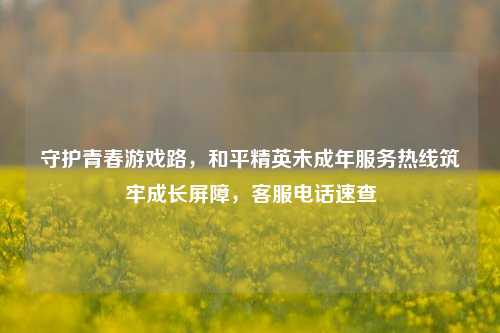 守护青春游戏路，和平精英未成年服务热线筑牢成长屏障，客服电话速查