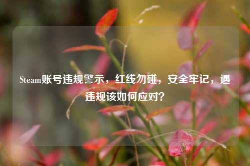 Steam账号违规警示，红线勿碰，安全牢记，遇违规该如何应对？