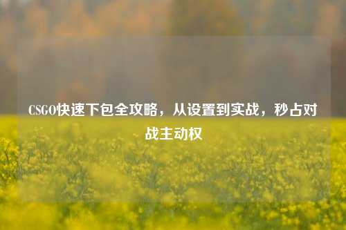 CSGO快速下包全攻略,从设置到实战,秒占对战主动权