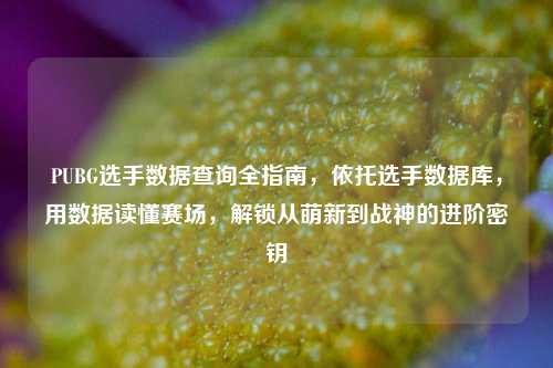 PUBG选手数据查询全指南，依托选手数据库，用数据读懂赛场，解锁从萌新到战神的进阶密钥