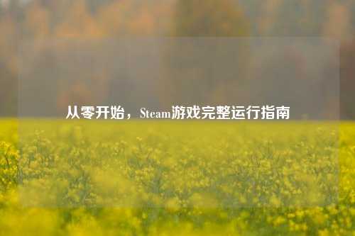 从零开始,Steam游戏完整运行指南