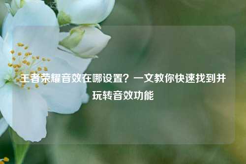王者荣耀音效在哪设置?一文教你快速找到并玩转音效功能