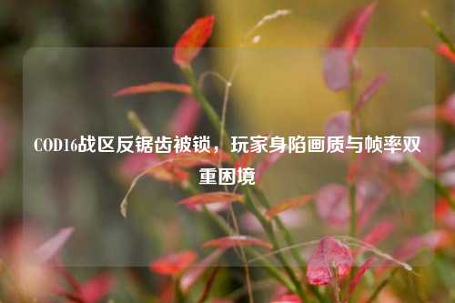 COD16战区反锯齿被锁,玩家身陷画质与帧率双重困境