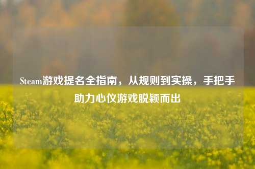Steam游戏提名全指南,从规则到实操,手把手助力心仪游戏脱颖而出