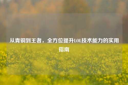 从青铜到王者,全方位提升LOL技术能力的实用指南