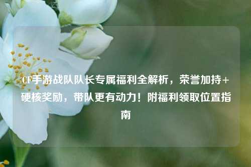CF手游战队队长专属福利全解析，荣誉加持+硬核奖励，带队更有动力！附福利领取位置指南