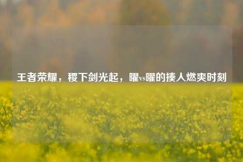 王者荣耀,稷下剑光起,曜vs曜的揍人燃爽时刻