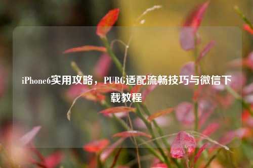 iPhone6实用攻略，PUBG适配流畅技巧与微信下载教程