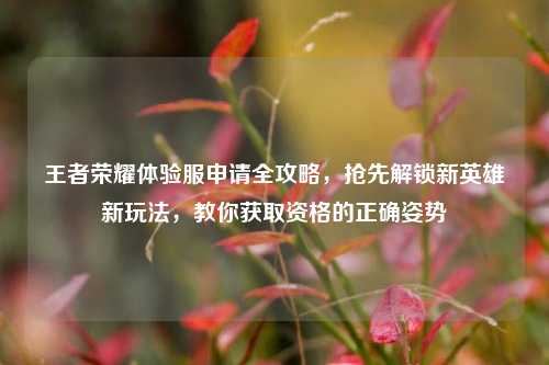 王者荣耀体验服申请全攻略,抢先解锁新英雄新玩法,教你获取资格的正确姿势