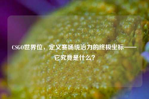CSGO世界位,定义赛场统治力的终极坐标——它究竟是什么?