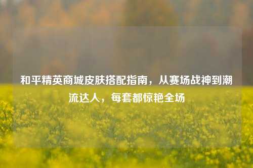 和平精英商城皮肤搭配指南，从赛场战神到潮流达人，每套都惊艳全场